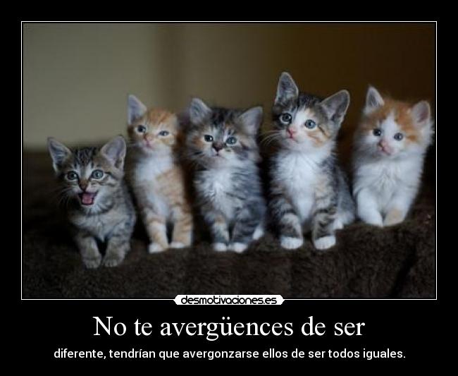 No te avergüences de ser - diferente, tendrían que avergonzarse ellos de ser todos iguales.