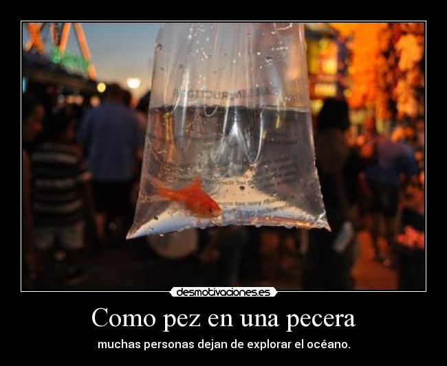 Como pez en una pecera - muchas personas dejan de explorar el océano.