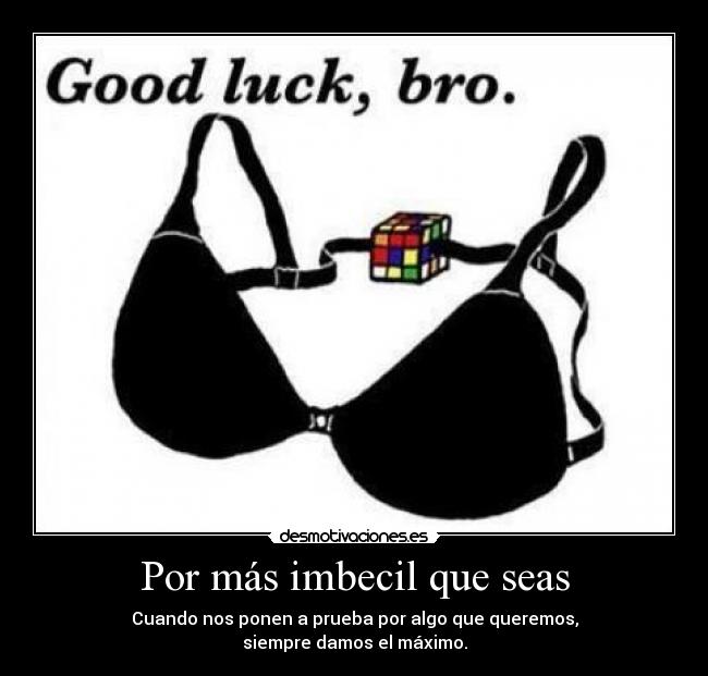 Por más imbecil que seas -