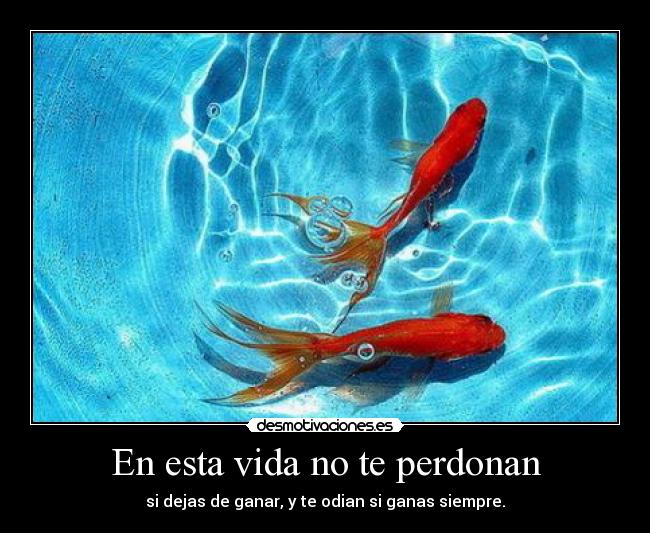 carteles vida peces colores desmotivaciones