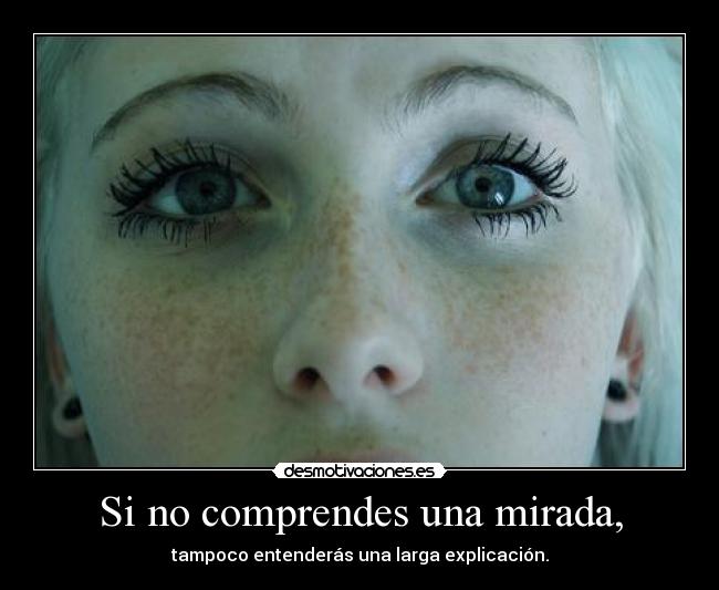 Si no comprendes una mirada, - tampoco entenderás una larga explicación.