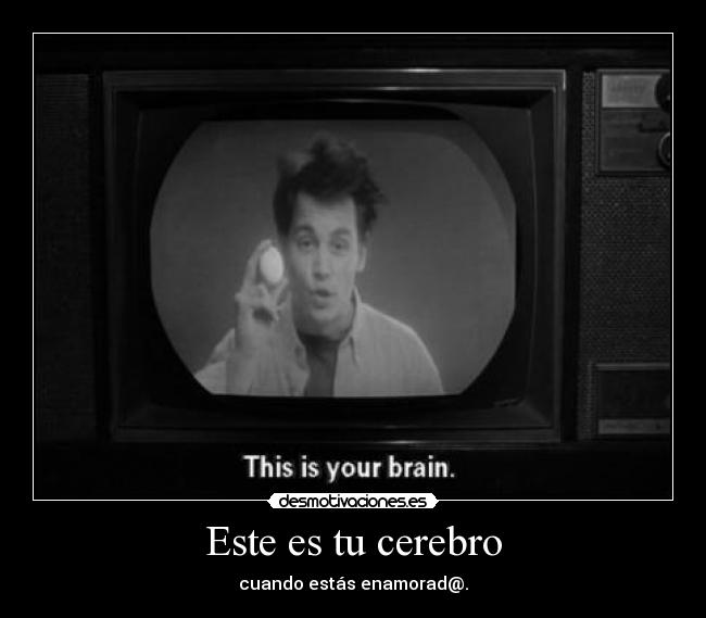 Este es tu cerebro - 