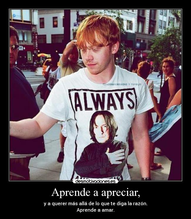 Aprende a apreciar, - y a querer más allá de lo que te diga la razón.
Aprende a amar.