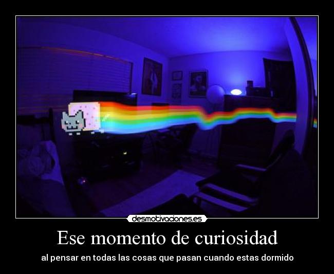 Ese momento de curiosidad -