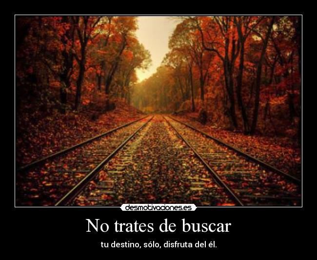 No trates de buscar -