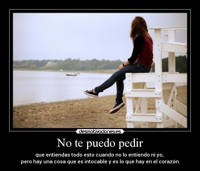 No te puedo pedir - 