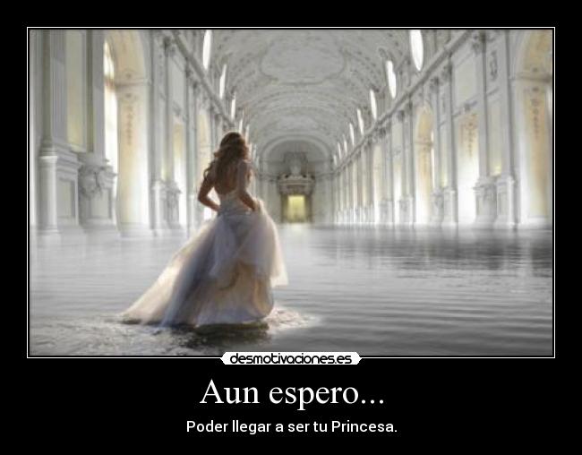 carteles aun espero poder llegar ser princesa amor mujer desmotivaciones