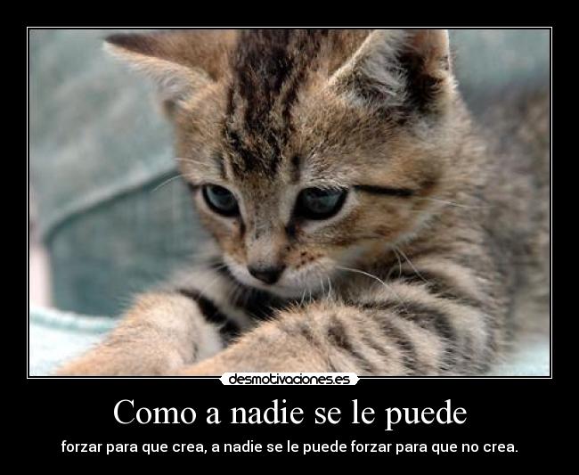 Como a nadie se le puede - forzar para que crea, a nadie se le puede forzar para que no crea.