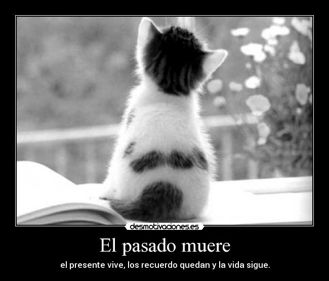 El pasado muere - el presente vive, los recuerdo quedan y la vida sigue.