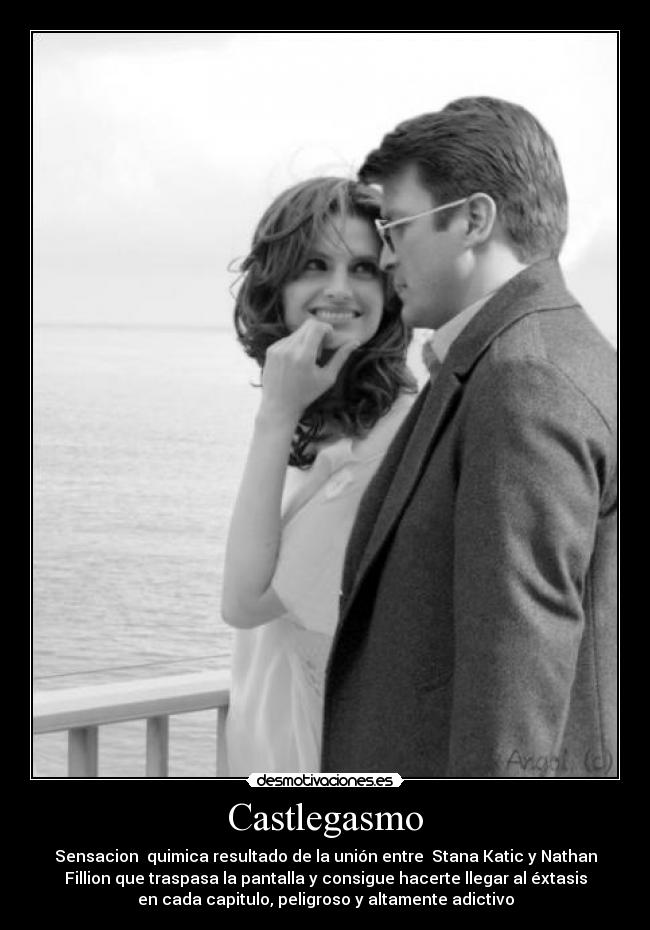 carteles stana katic castlegasmo descripcion castle serie desmotivaciones