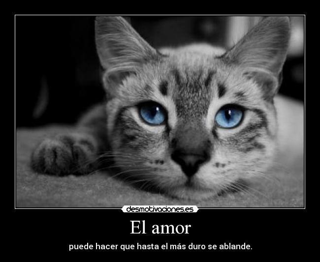 El amor - puede hacer que hasta el más duro se ablande.