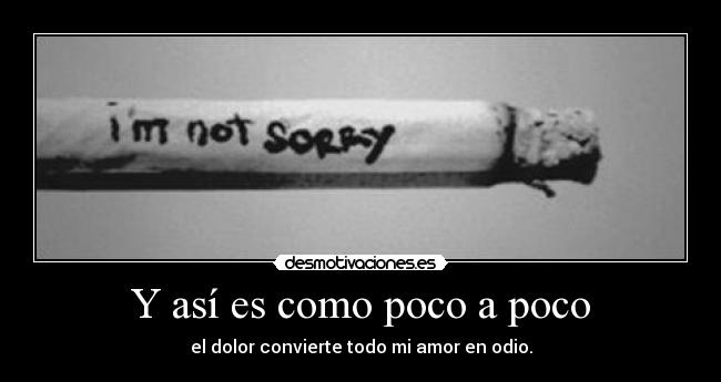 Y así es como poco a poco -