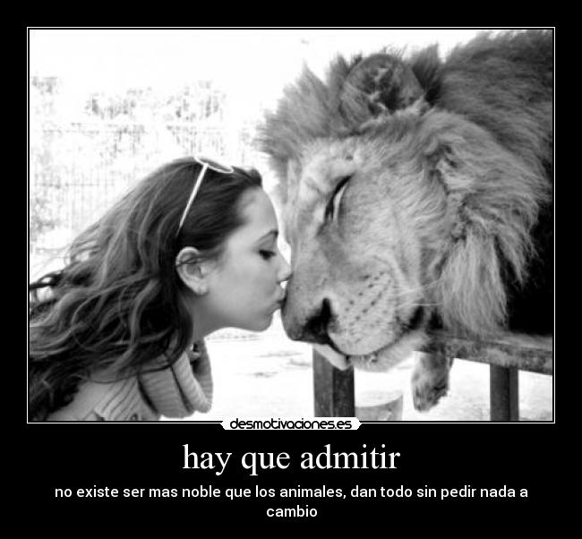 Imágenes y Carteles de ADMITIR Pag. 15 | Desmotivaciones