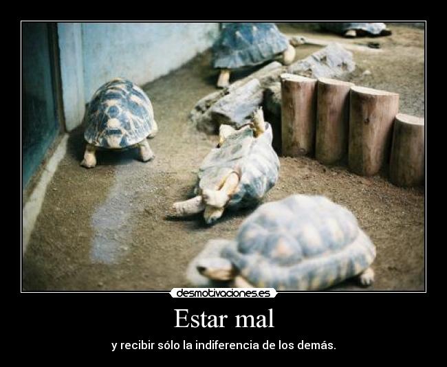 Estar mal -