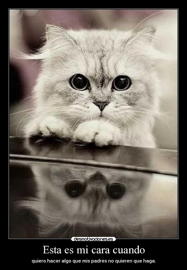 Esta es mi cara cuando - 