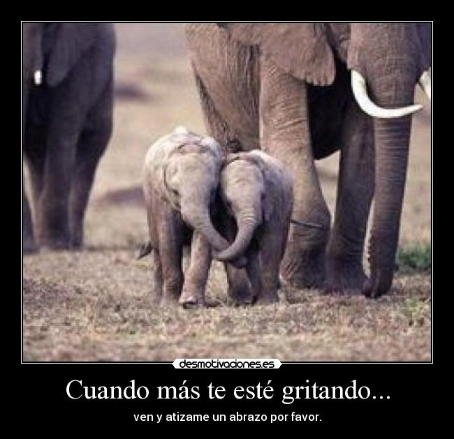 Cuando más te esté gritando... - 