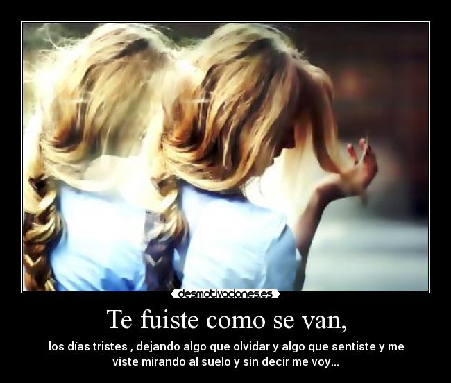 Te fuiste como se van, - 