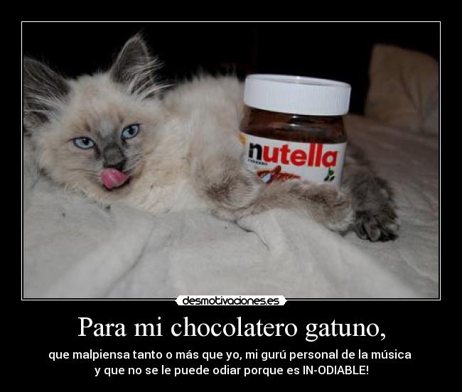 Para mi chocolatero gatuno, - 