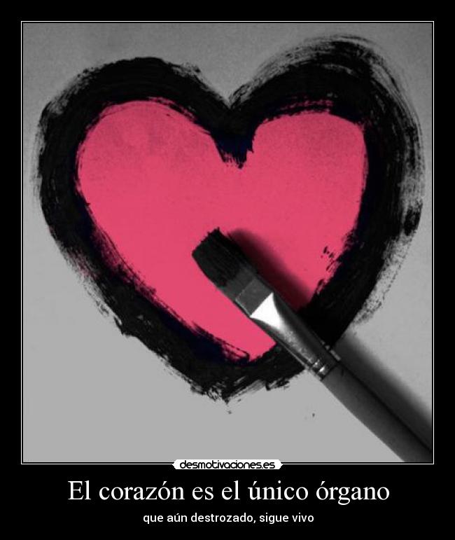 El corazón es el único órgano - 