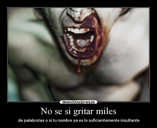 No se si gritar miles - 