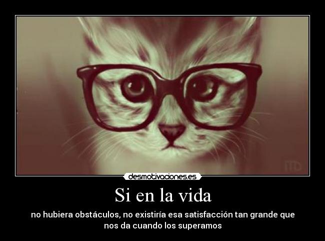 Si en la vida - no hubiera obstáculos, no existiría esa satisfacción tan grande que
nos da cuando los superamos