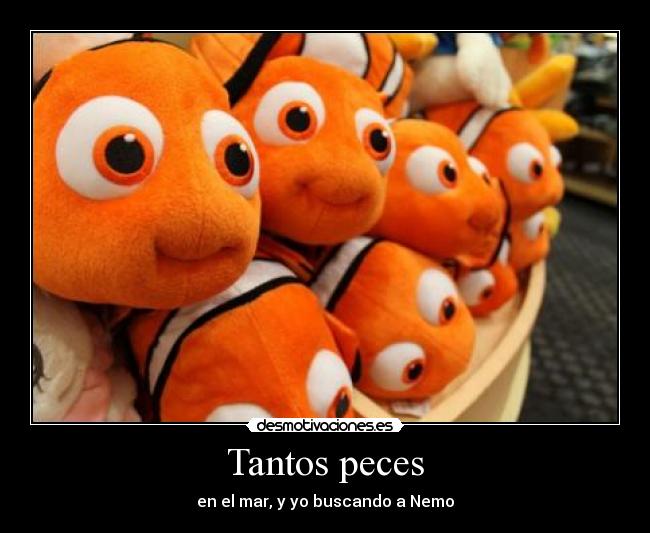 Tantos peces -