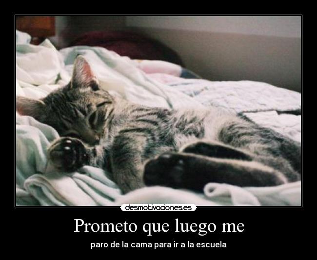 Prometo que luego me -