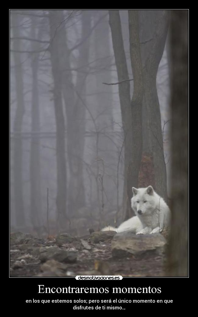 Encontraremos momentos - en los que estemos solos; pero será el único momento en que disfrutes de ti mismo…
