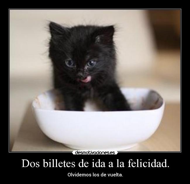 Dos billetes de ida a la felicidad. - Olvidemos los de vuelta.