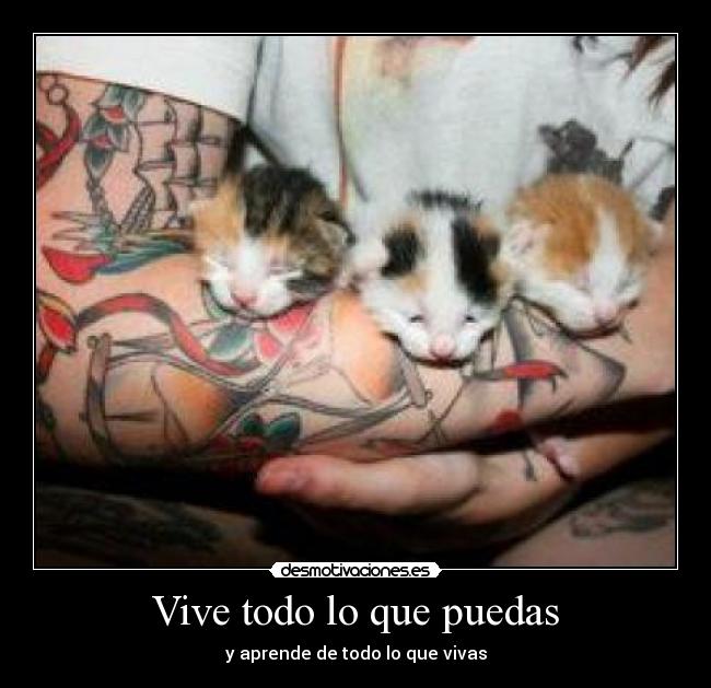 Vive todo lo que puedas - y aprende de todo lo que vivas