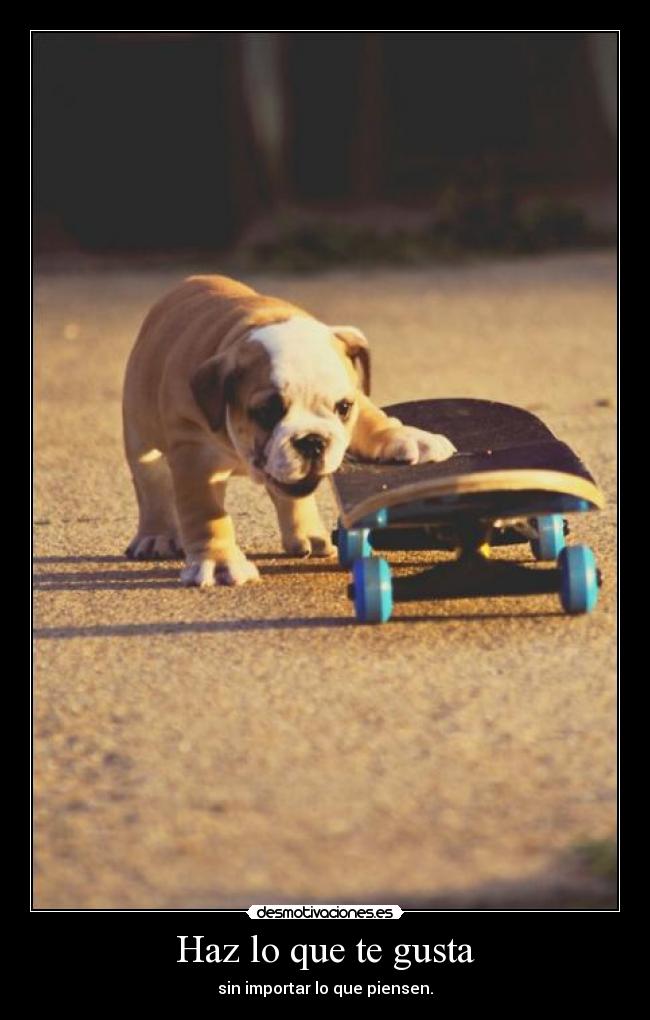 Haz lo que te gusta - 