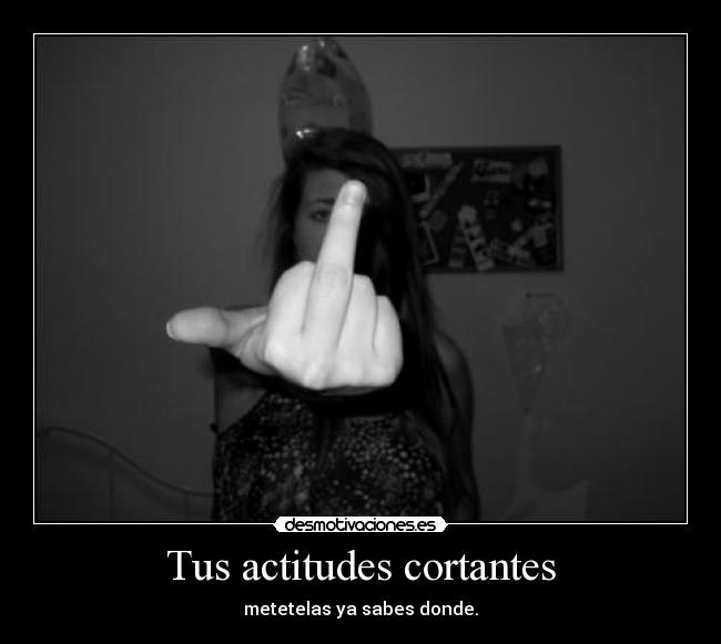 Tus actitudes cortantes - metetelas ya sabes donde.