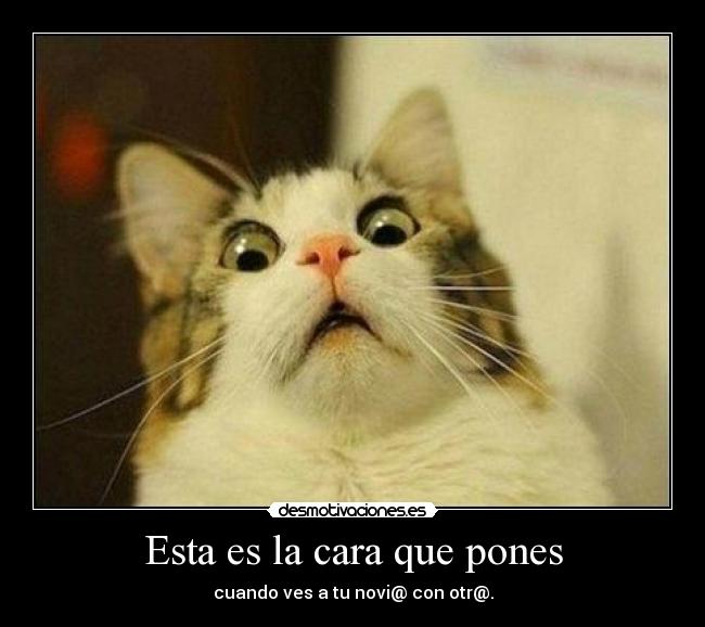 Esta es la cara que pones - cuando ves a tu novi@ con otr@.