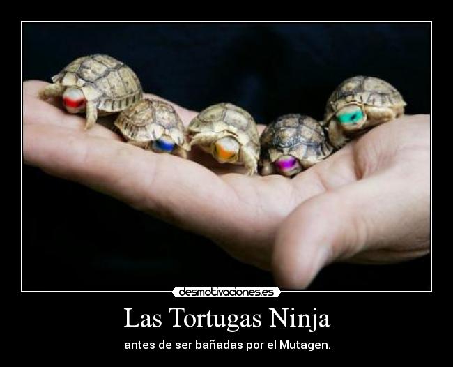 Las Tortugas Ninja -