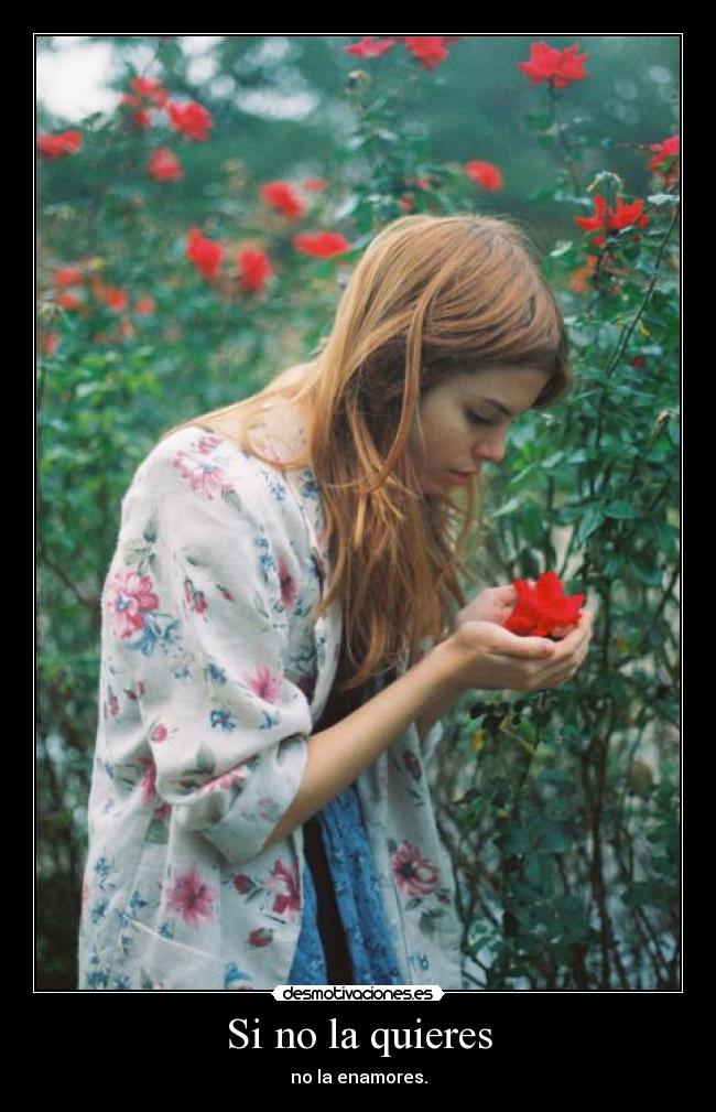 Si no la quieres -