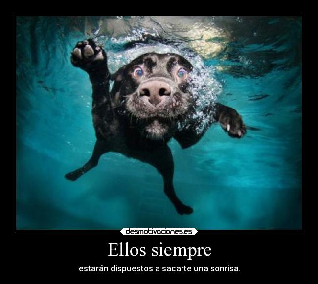 Ellos siempre -