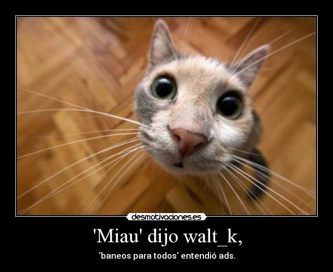 Miau dijo walt_k, - baneos para todos entendió ads.