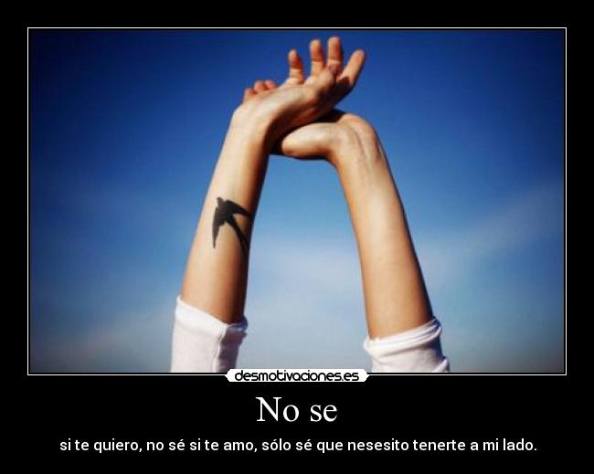 No se - si te quiero, no sé si te amo, sólo sé que nesesito tenerte a mi lado.