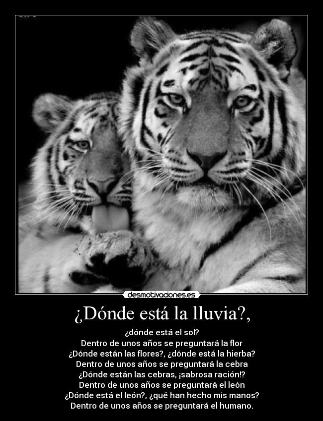 ¿Dónde está la lluvia?, - ¿dónde está el sol?
Dentro de unos años se preguntará la flor
¿Dónde están las flores?, ¿dónde está la hierba?
Dentro de unos años se preguntará la cebra
¿Dónde están las cebras, ¡sabrosa ración!?
Dentro de unos años se preguntará el león
¿Dónde está el león?, ¿qué han hecho mis manos?
Dentro de unos años se preguntará el humano.