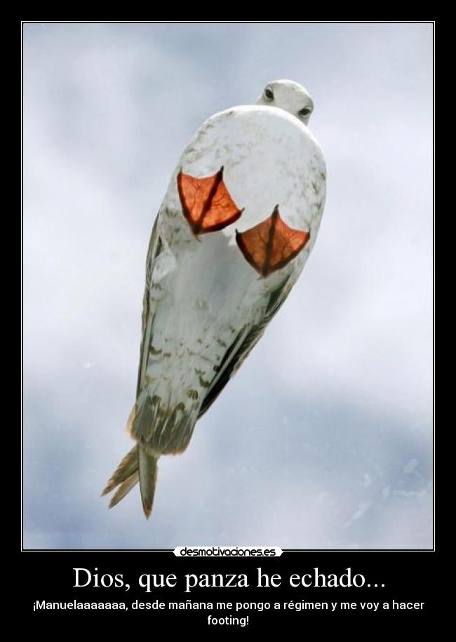 Dios, que panza he echado... - 