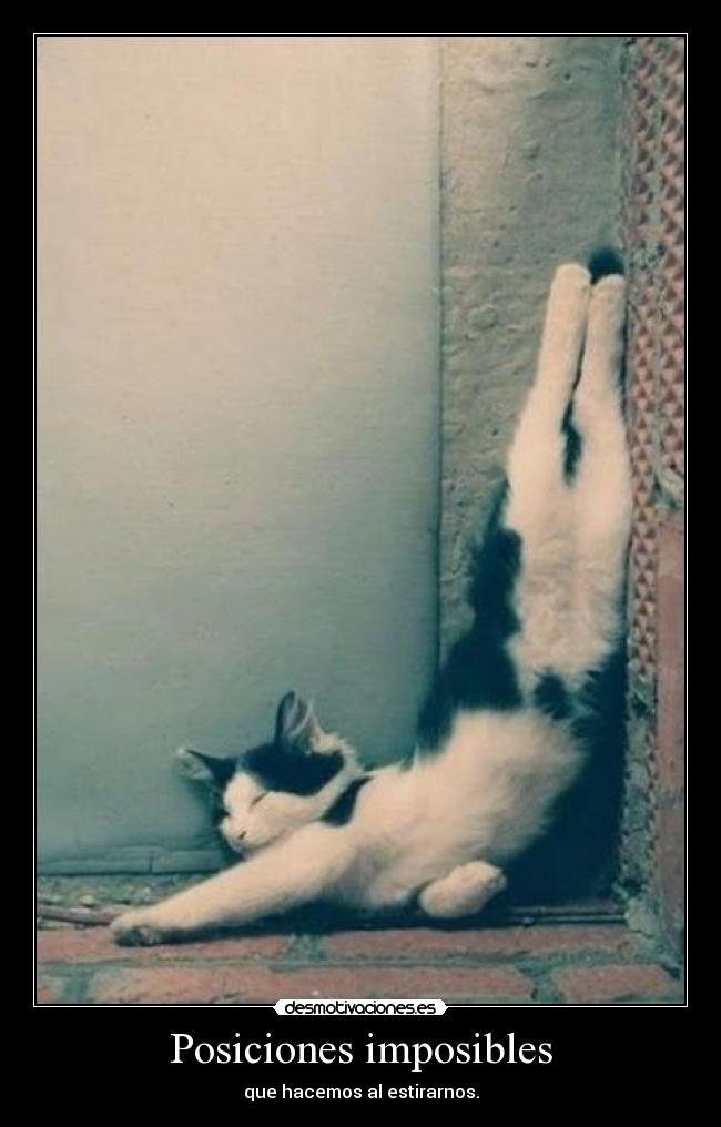 Posiciones imposibles - 