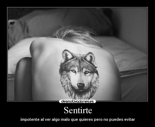 carteles sientes animal desmotivaciones