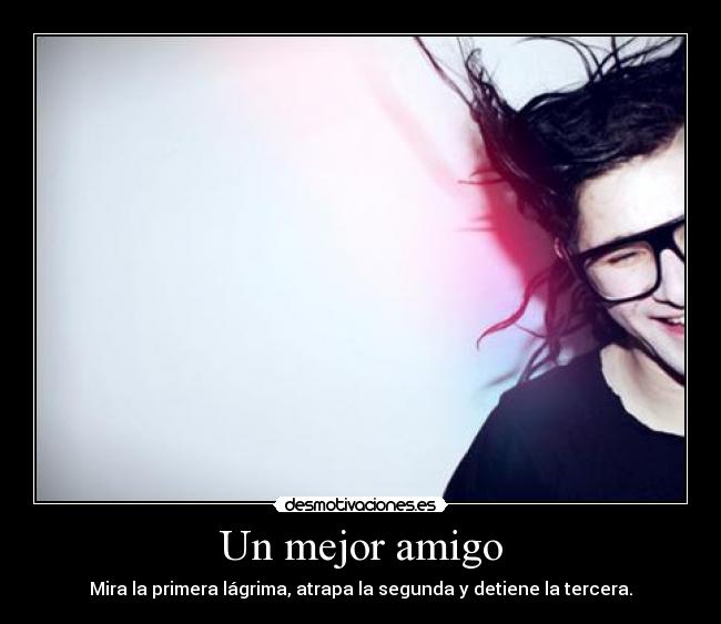 carteles que hacen los mejores amigos verdad skrillex desmotivaciones