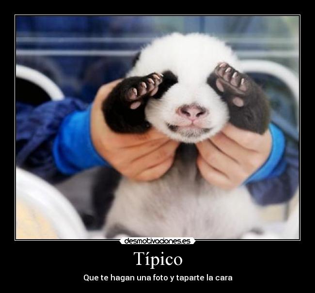 Típico - 