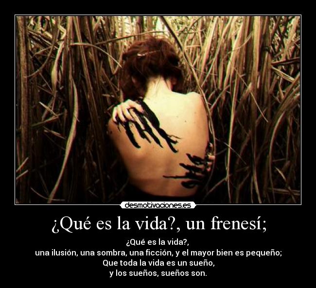 ¿Qué es la vida?, un frenesí; - ¿Qué es la vida?, 
una ilusión, una sombra, una ficción, y el mayor bien es pequeño;
Que toda la vida es un sueño,
y los sueños, sueños son.