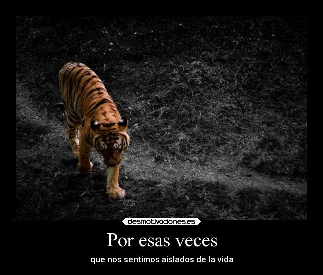 carteles por esas veces desmotivaciones