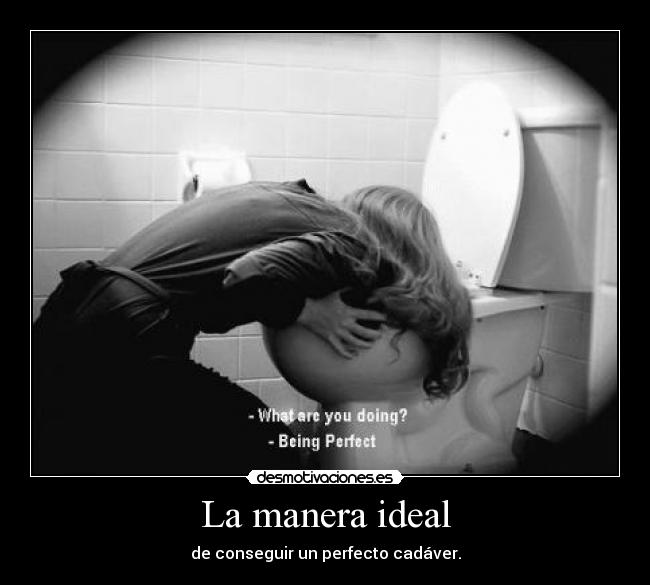 La manera ideal - 