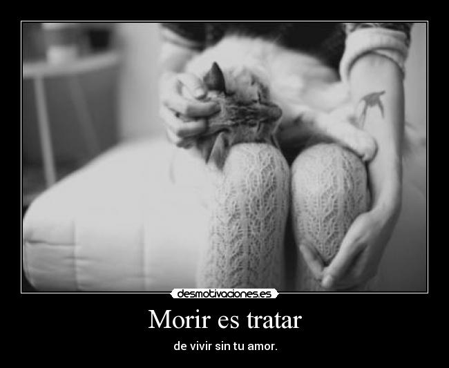 Morir es tratar - de vivir sin tu amor.