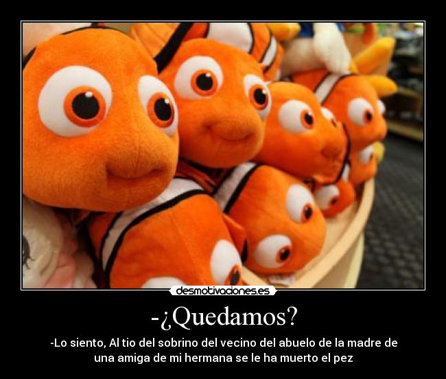 -¿Quedamos? - 