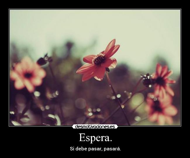 carteles pasar ese dilema desmotivaciones